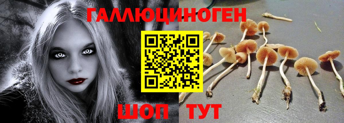 Галлюциногенные грибы Magic Shrooms  Вход с VPN  Боровичи 